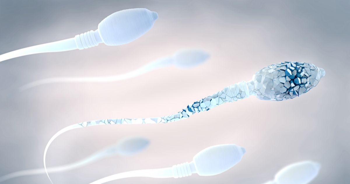 plodnost muza 1200x630 shutterstock